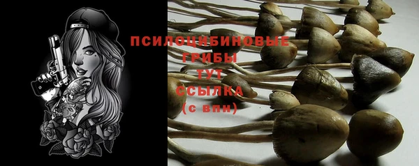 прущие крисы Алексеевка
