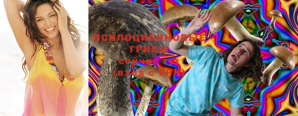 мяу мяу кристалл Алексин