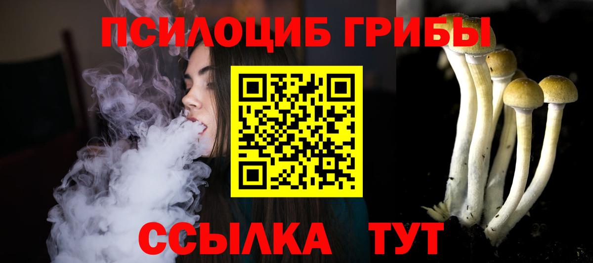 Галлюциногенные грибы мицелий Кропоткин